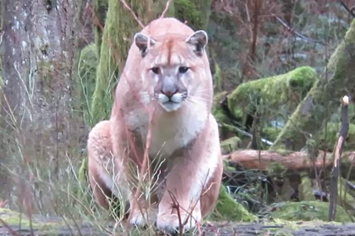 5c6a983a95a597913b8b460b