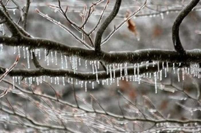 الانجماد-490x380