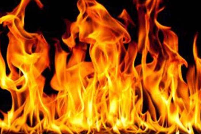 Doc-P-558288-636862501275482226