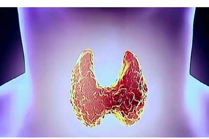 5c63f79695a597da0e8b45f8