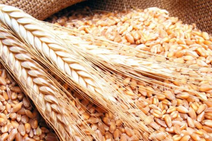 e8f288f29cce4c21271d64e98d3c1038