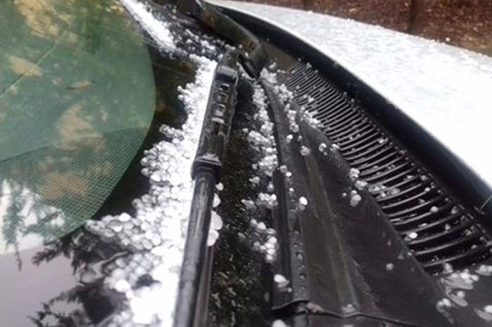 16266207_1406563689363014_2696528349290104859_n