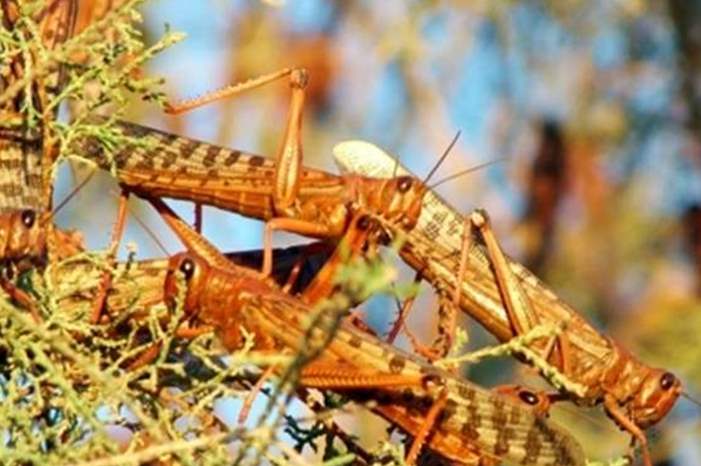 2201923163850915772614