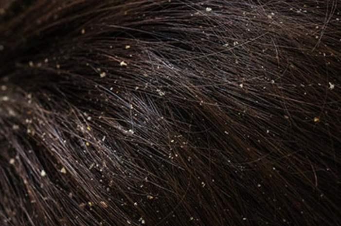 51cb848a-b42c-4c69-ad5e-bf7175c55406_16x9_1200x676