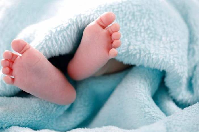 51444941000000_169_720