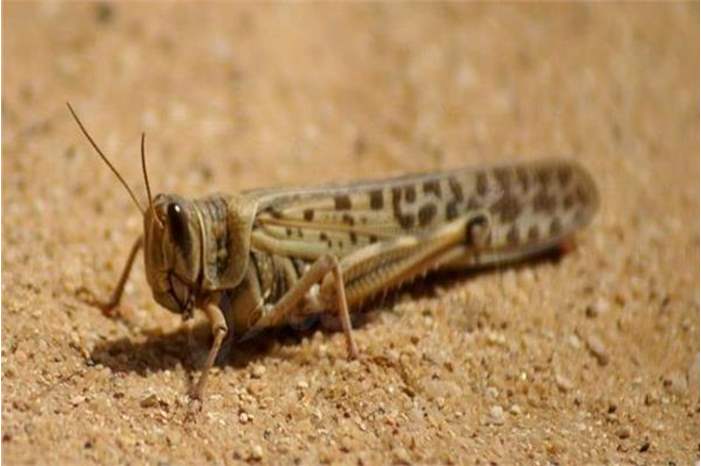 main_image5c35908d432e2