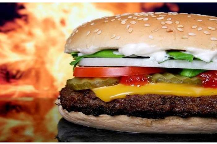 5c73be4695a597ce368b4614