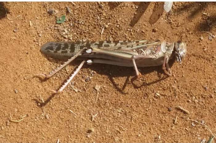 PHOTO-2019-01-10-14-54-28-1