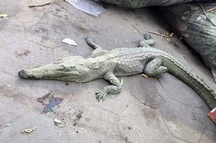 768b47b0-25b6-49ea-b531-e30cfa65ea93