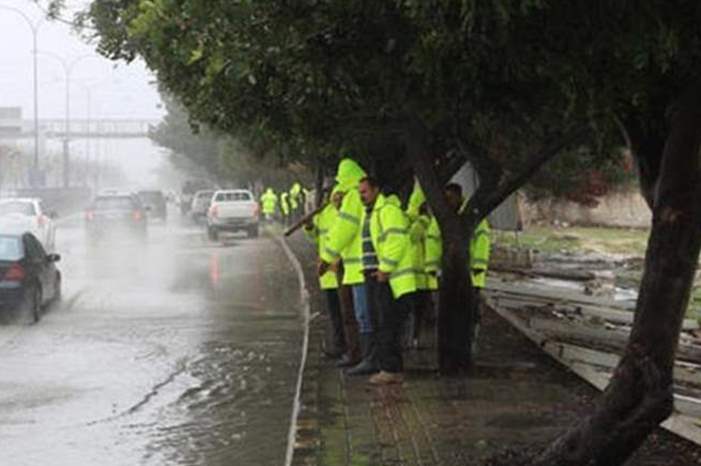 2201914103347879978031