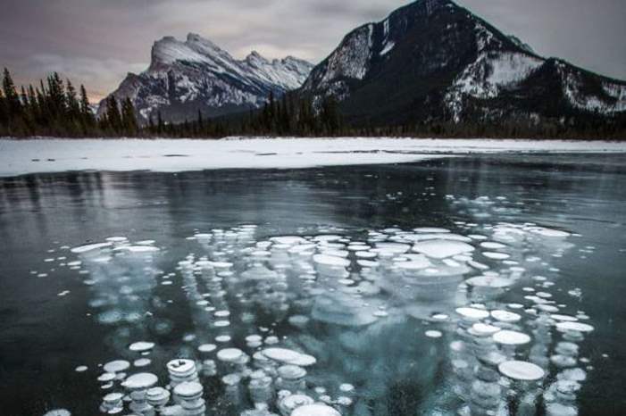 64388c44495b2f7782484e70d8d589b1_876388