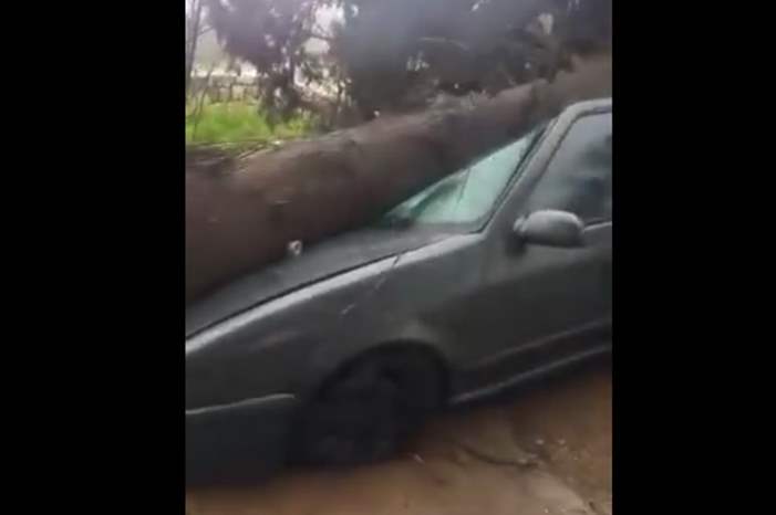 a4443ff0270d76890e7cf02ed10b62b1