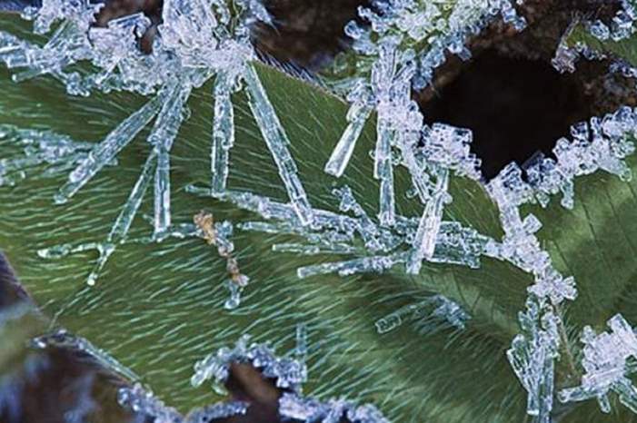 1201920225118232093090