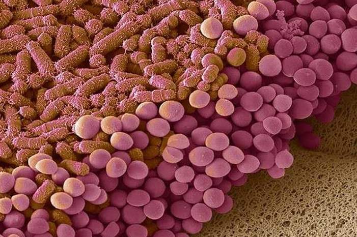 5c5949e495a597d24e8b45e7