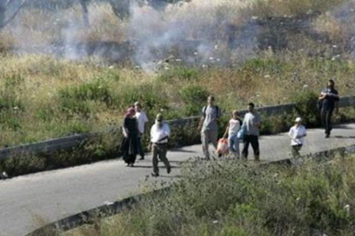 356793101090991176160