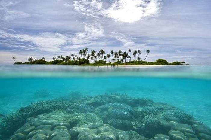 5c5954e8d43750c40e8b4593