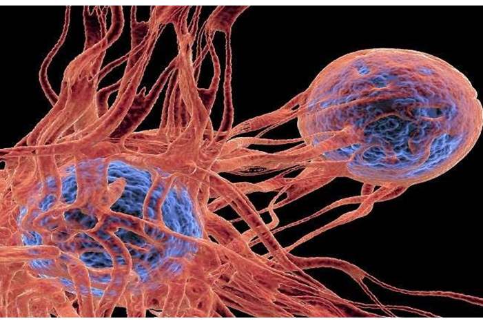 5c59849a95a597620a8b45ba