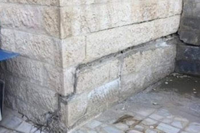 51450658_2117287008357285_1041391129599148032_n