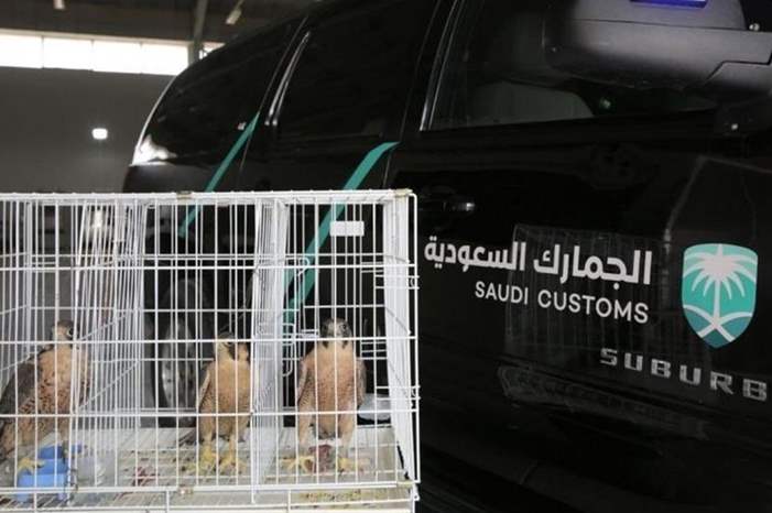 87ca86dc-a1aa-49c9-be4b-f3e96a2fbaa1_16x9_1200x676