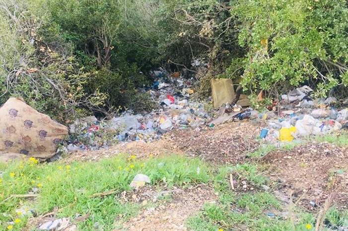 51854157_2119028978183088_5654156056696193024_n