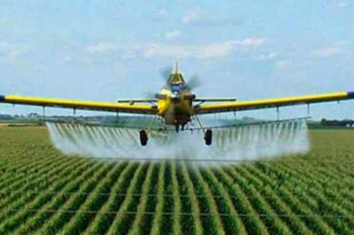 294944_25_1541242688