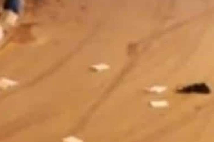 51748870_240482296862445_5533686793888595968_n