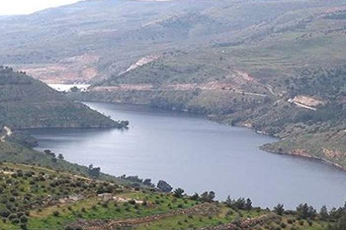 01f6e417d167e31d7cc20f2db86006ee