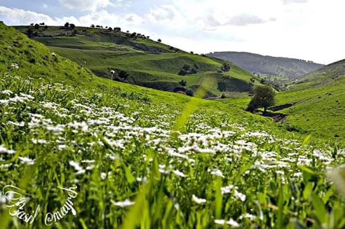 اربد - لواء الكوره