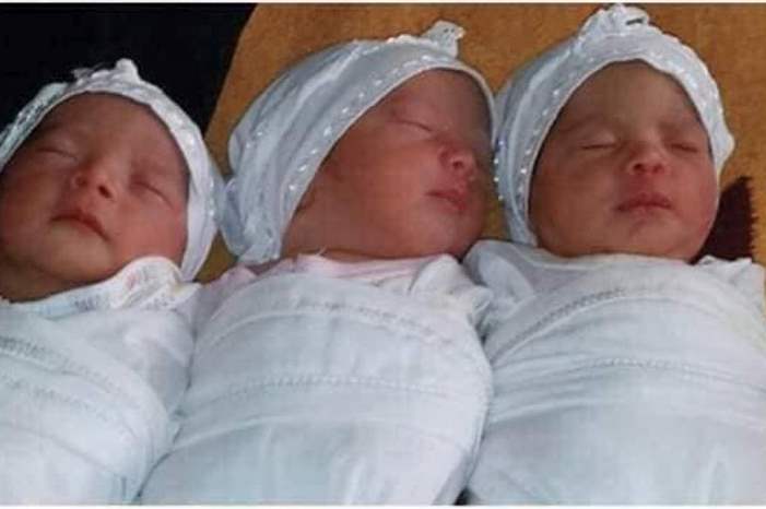 71321107428e0bcaa998799c86b36d14