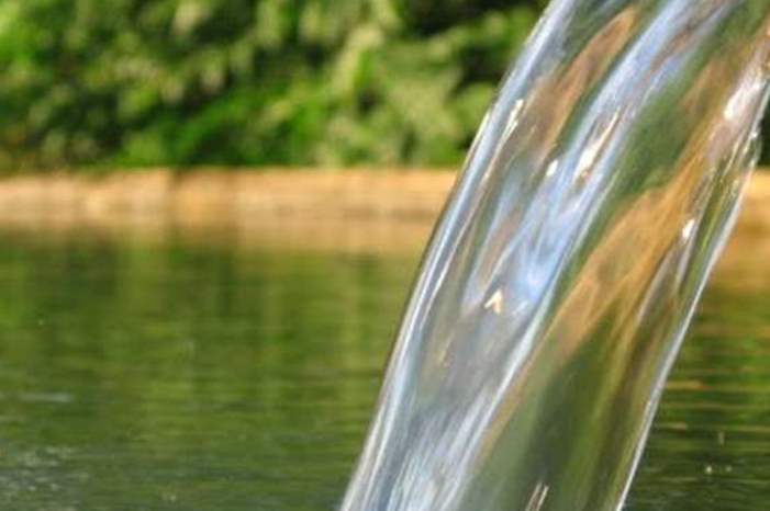 220191111323184483969