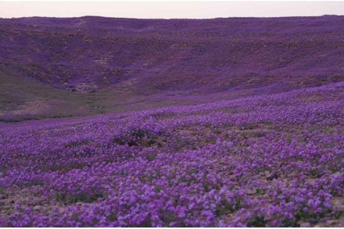 dce4fab3-da8d-467e-b494-18e689bdd6fe_16x9_1200x676