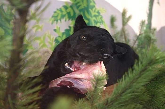 5c862604d437505c4e8b4573