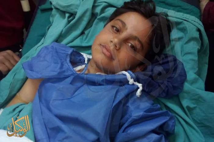 53818364_365124637667893_2521106976247644160_n