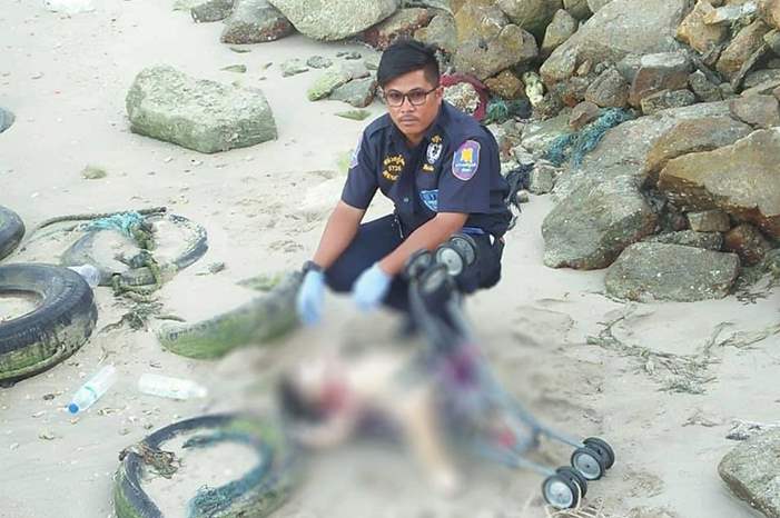 006b1f8c-39b0-418d-9cc8-a8b8bf11a774