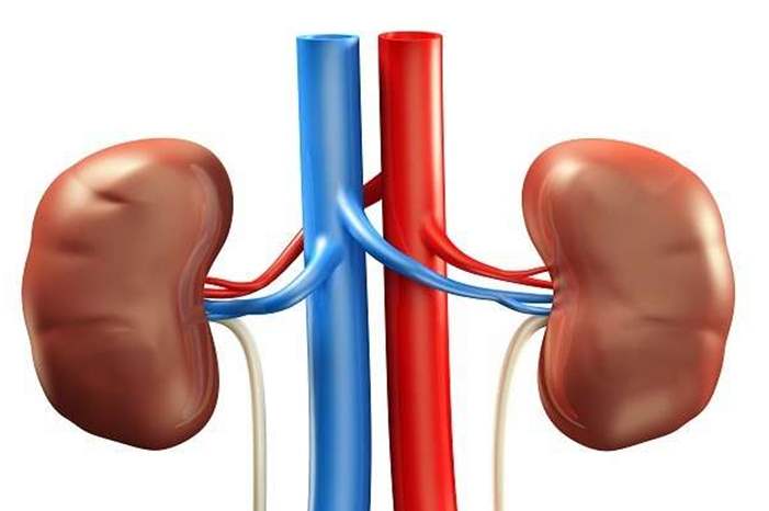 5c8a0f9a95a59742268b4596