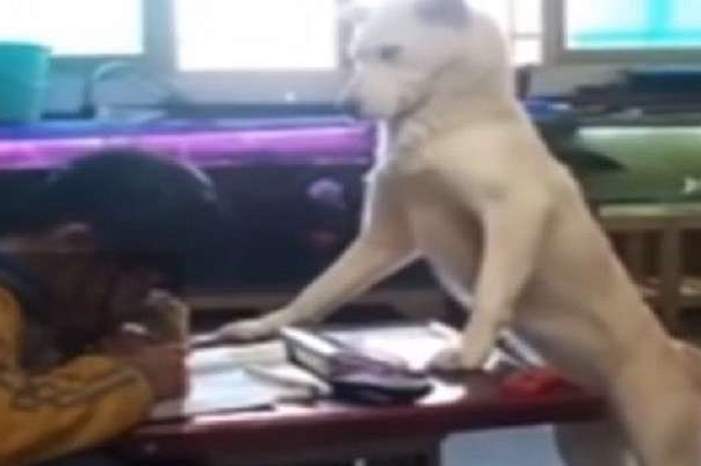 5c8a2474d43750c97b8b4570