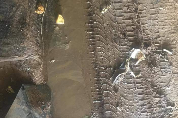 53839977_2172402429512409_1192162249968451584_n