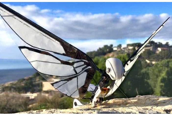 5c8767dbd43750702e8b4571