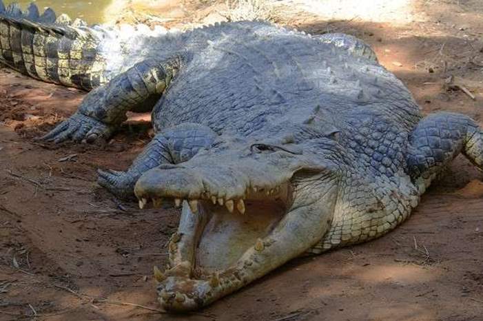 5c8b6ba995a59778588b4630