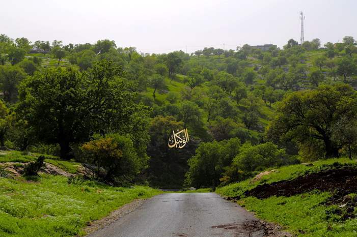 320191121851735413455