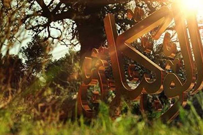 22019220634256320680