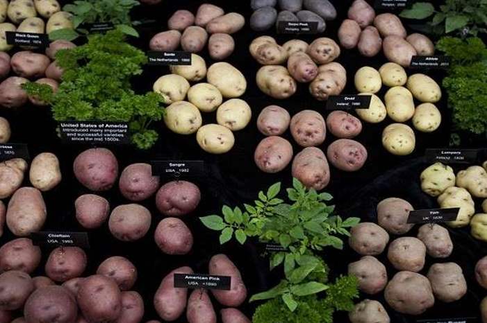 5c8f7276d437504c038b45be