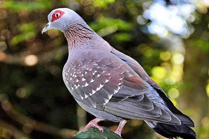 5c90a18895a59720058b462a