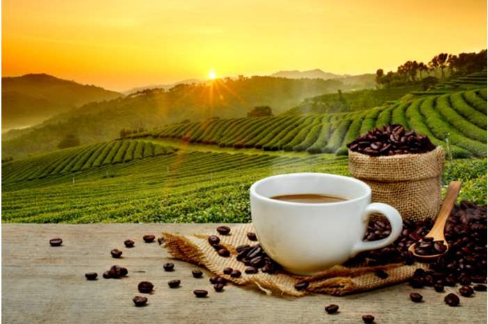 shutterstock_524061637-640x480