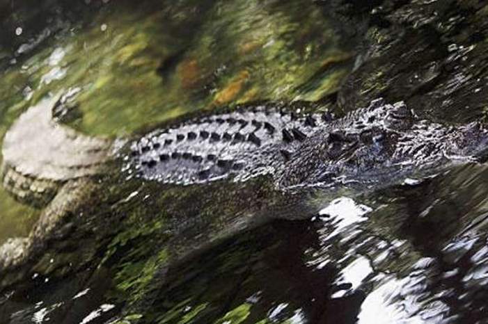 5c91fe5d95a597aa078b45e2