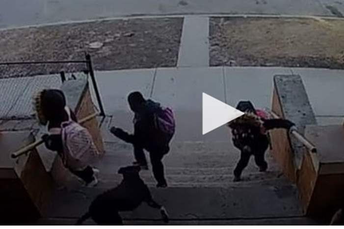 97770c7a8b0568332600b7bbd56142bf