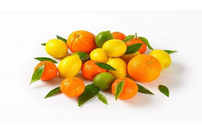 5c767c6ed437507f2a8b45c7