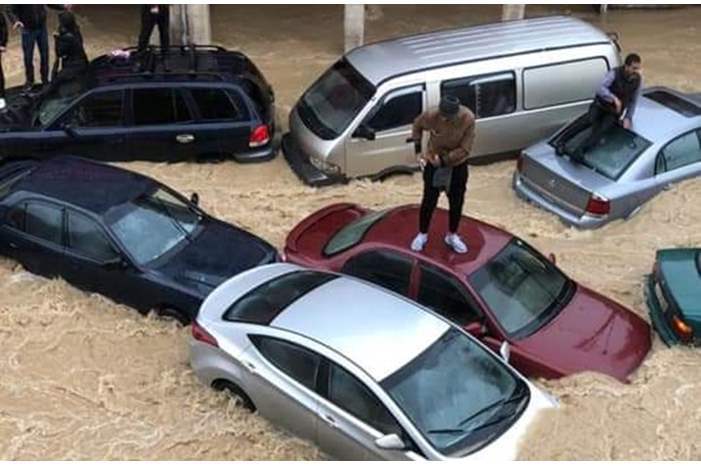 32019212271373049626