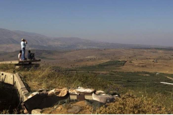 227794_11_1553267428