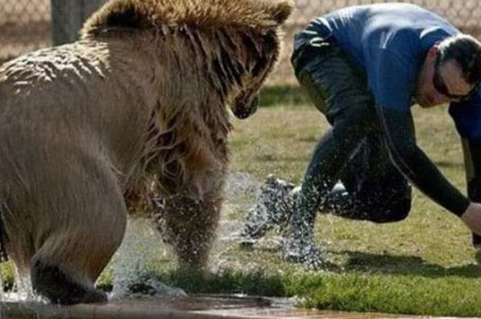 Doc-P-569278-636889467177427482